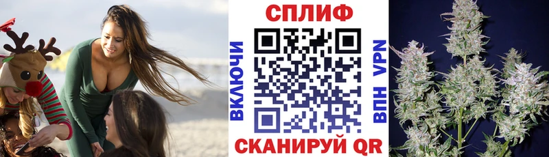 Купить закладки  Шумиха  Бошки марихуана марихуана 